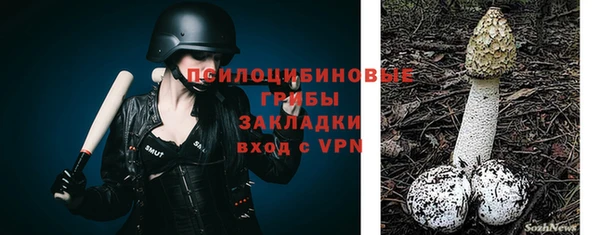 дживик Иннополис