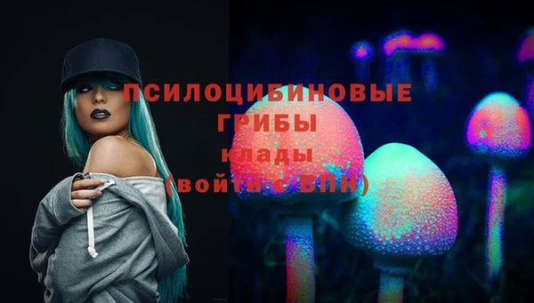 бошки Зеленодольск