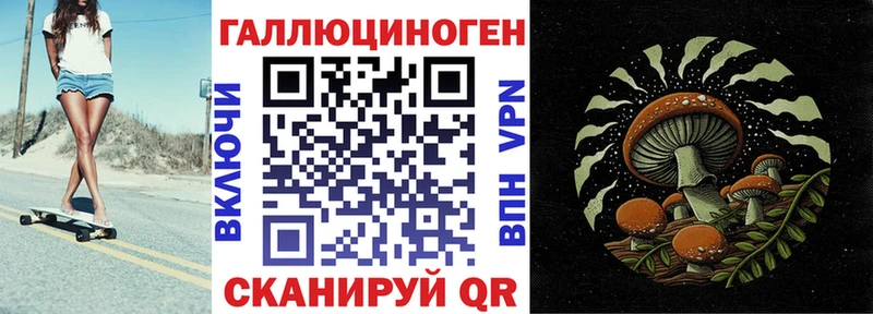 Псилоцибиновые грибы Psilocybe  Купить закладки  Темников 